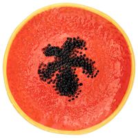 Plato DECO HOME Naranja