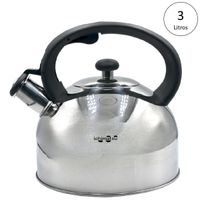 Tetera de acero inoxidable 3Lt - Ichimatsu