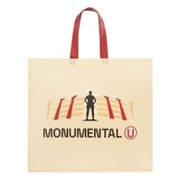 Bolsa Reutilizable UNIVERSITARIO 39x44x1cm