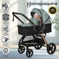 Coche Moisés Travel System «GERARD» Edición Limitada Verde