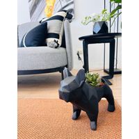 Maceta Frenchie + Planta Color Negro