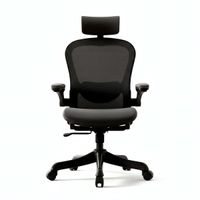Silla de Oficina Ergonómica Haven AeroFlex 4D Transpirable Negro Tela Mesh
