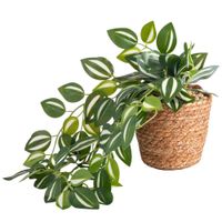Maceta DECO HOME con Boa C&L