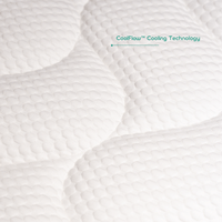 Nuve Alpine Topper Memory Foam 2 plazas