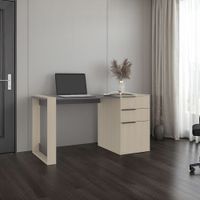 Escritorio 2 Cajones Office Cartagena Y Plomo