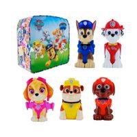 Caja de Coleccion de 5 Personajes Paw Patrol y 5 Libros