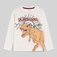 Polo Manga Larga Para Niño Jurassic