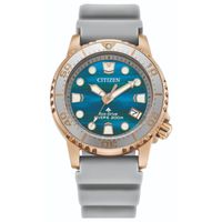 Reloj Citizen Para Mujer EO2023-00W