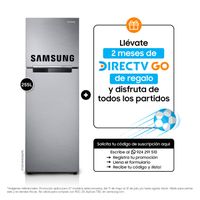 Refrigeradora SAMSUNG RT25FARADS8 255L Plateado