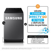 Lavadora Samsung EcoBubble 19KG Plateada WA19CG6441BDPE
