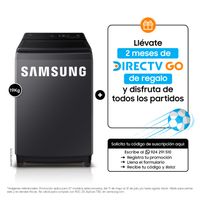 Lavadora Samsung EcoBubble 19Kg WA40F19E7CPE Gris Grafito
