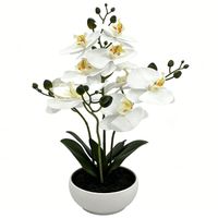 Orquidea 45Cm