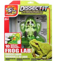Kit De Disección Sintética Rana Dissect It