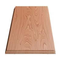 Triplay Tipo Capinuri Bc 4mm 1.22x2.44m Sumec