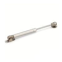 Piston para Puerta a Gas 100N Werken