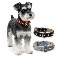 Set de 3 Correas, Collar de Cuero Talla M - Medium para Mascotas