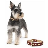 Set de 2 Correa Collar Para Mascotas de Cuero - Talla L