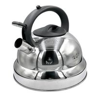 Tetera de acero inoxidable 4.5 LI Ichimatsu