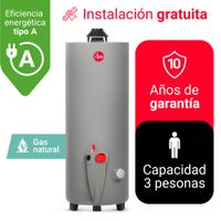 TERMOTANQUE 76L RHEEM GAS NATURAL (GN)