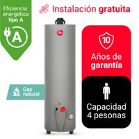TERMOTANQUE 114L RHEEM GAS NATURAL (GN)