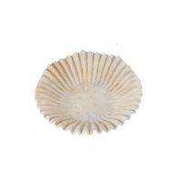 Adorno Centro De Mesa 33Cm Beige.