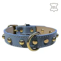 Correa Collar Para Mascotas de Cuero Color Celeste - Talla M