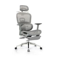 Silla de Oficina Haven M1 Pro Ergonómica Mesh Base Cromada con Reposapiés