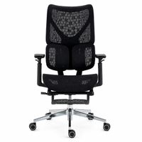 Silla Ergonomica Haven D100 Pro Reclinable 145° Doble Lumbar Reposapies Negro