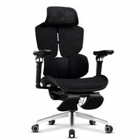 Silla Gamer X5C Haven Ergonomica Gaming Mesh Premium Reclinable 140°