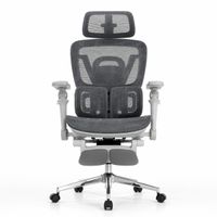 Silla Ergonomica Haven S100 Ultra Lumbar Anatomico Mesh Brazos 7D Gris