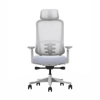 Silla de Oficina Ergonómica Profesional Evox S3-GH