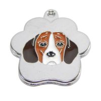 Placa de Identificación para perros Beagle rainbow