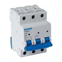 Interruptor termomagnético TR6KA 3P 20A curva C
