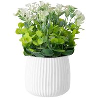 Maceta DECO HOME Blanca C/Plantas Acuarela