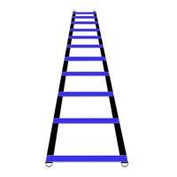 ESCALERA DE 10 PASOS PARA AGILIDAD Y COORDINACIÓN CON BOLSA DE ALMACENAMIENTO AZUL