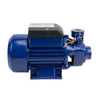 Electrobomba Periferica QB60-H 0.50 Hp Pro