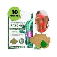 PARCHES PARA EL ALIVIO DEL DOLOR DE MUSCULAR CUELLO ESPALDA LUMBAR 10 PARCHES - copy - copy - copy