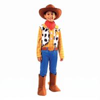 Disfraz Woody Niño Tsc-0089 T2