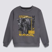 Polera Niño Jurassic