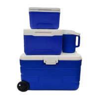 Set x 4 Cooler Azul