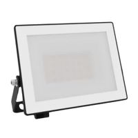 Reflector Led Phillips 20W Luz Fría