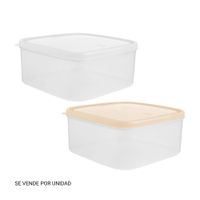 Caja Conservadora Freezer #3 Basa