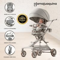 Coche Carriola «FERRIEGAMO» Edición Exclusiva Gris