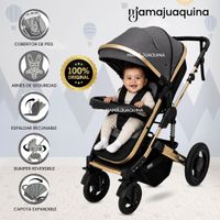 Coche Moisés Travel System «PRADO GOLD» Edición Limitada Gris