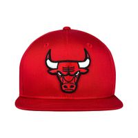 GORRA NEW ERA SPECIAL NBA-CHICACO BULLS  196175564628 - 1034100