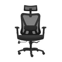 Silla Ergonómica Dolfin Lap Brazos 1D Presidente Nylon Negro Ofideas
