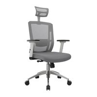 Silla Ergonómica Delphi II Presidente Syncro Brazos 3D Aluminio Gris Ofideas