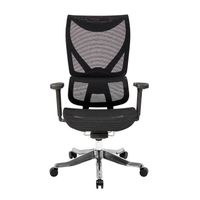 Silla Ergonómica Flex Premium Negro Ofideas