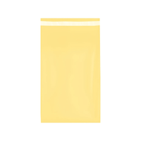 Bolsa para Envíos Ecommerce y Courier 35x50 cm Pack 100 Unidades Polietileno con Cierre Adhesivo de