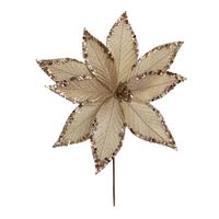 Poinsetia 9P 30 x 30 cm Champagne